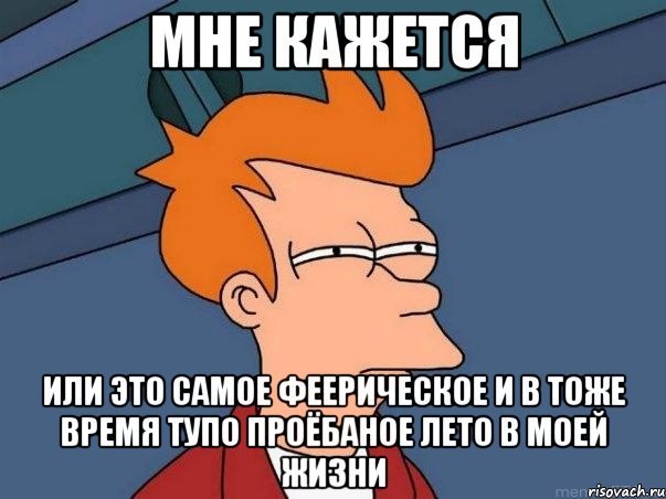 мне кажется или это самое феерическое и в тоже время тупо проёбаное лето в моей жизни, Мем  Фрай (мне кажется или)