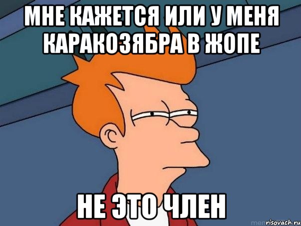 мне кажется или у меня каракозябра в жопе не это член, Мем  Фрай (мне кажется или)