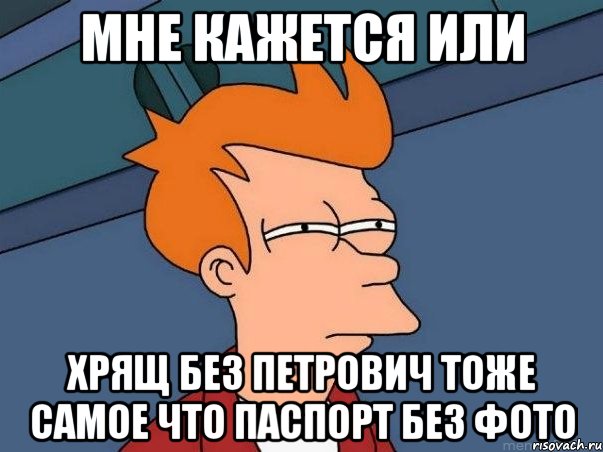 мне кажется или Хрящ без Петрович тоже самое что паспорт без фото, Мем  Фрай (мне кажется или)