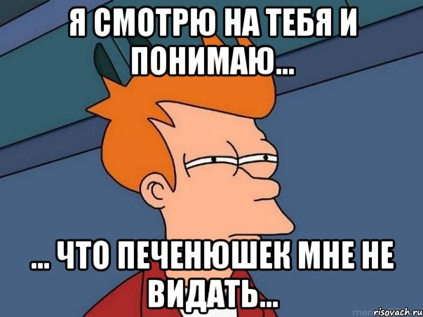 Я смотрю на тебя и понимаю... ... что печенюшек мне не видать..., Мем  Фрай (мне кажется или)