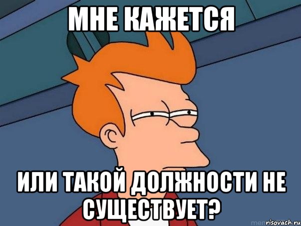 Мне кажется или такой должности не существует?, Мем  Фрай (мне кажется или)