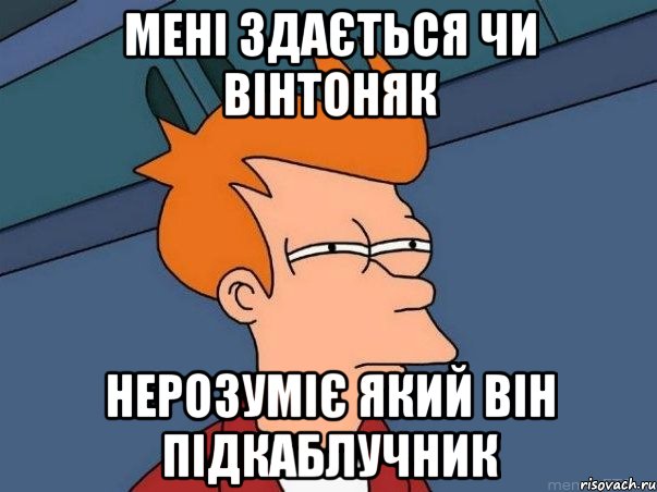 Мені здається чи вінтоняк нерозуміє який він підкаблучник, Мем  Фрай (мне кажется или)
