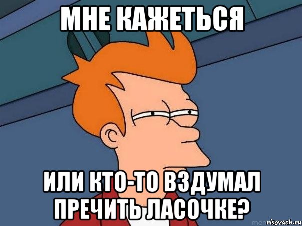 мне кажеться или кто-то вздумал пречить ласочке?, Мем  Фрай (мне кажется или)