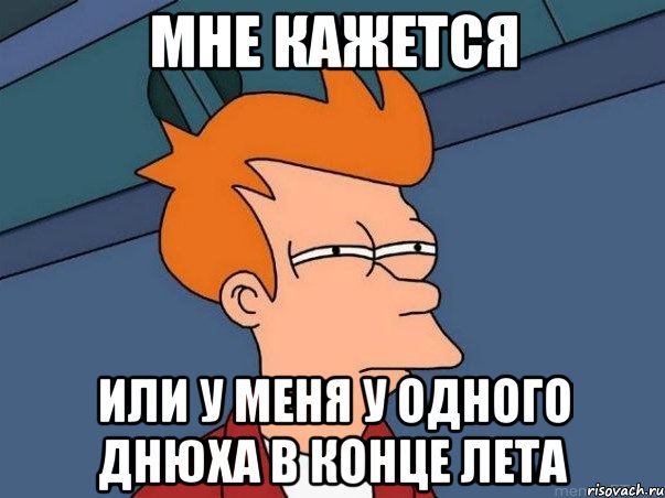 Мне кажется Или у меня у одного днюха в конце лета, Мем  Фрай (мне кажется или)