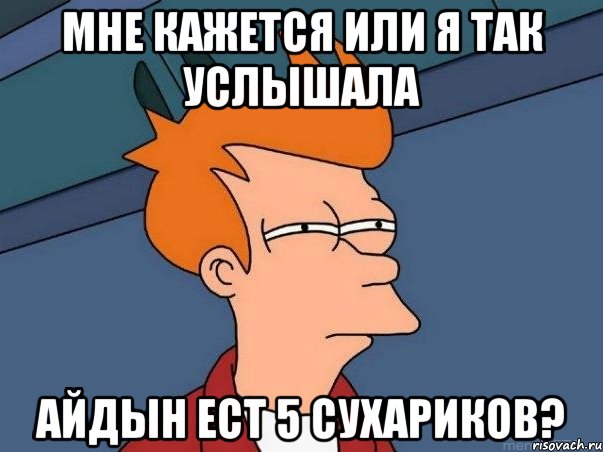 мне кажется или я так услышала Айдын ест 5 сухариков?, Мем  Фрай (мне кажется или)