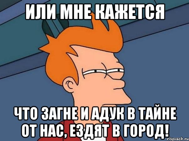 Или мне кажется Что Загне и Адук в тайне от нас, ездят в город!, Мем  Фрай (мне кажется или)