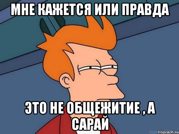 мне кажется или правда это не общежитие , а сарай, Мем  Фрай (мне кажется или)