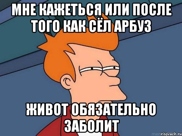 Мне кажеться или после того как сёл арбуз живот обязательно заболит, Мем  Фрай (мне кажется или)