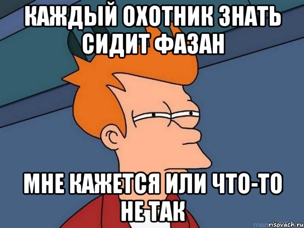 Каждый охотник знать сидит фазан МНЕ КАЖЕТСЯ ИЛИ ЧТО-ТО НЕ ТАК, Мем  Фрай (мне кажется или)