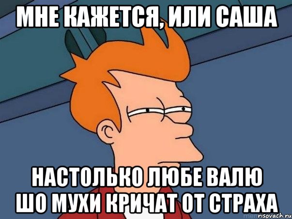 Мне кажется, или саша Настолько любе валю шо мухи кричат от страха, Мем  Фрай (мне кажется или)