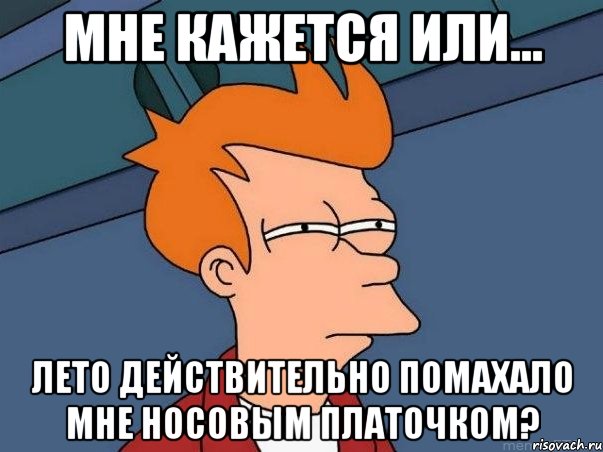 Мне кажется или... Лето действительно помахало мне носовым платочком?, Мем  Фрай (мне кажется или)