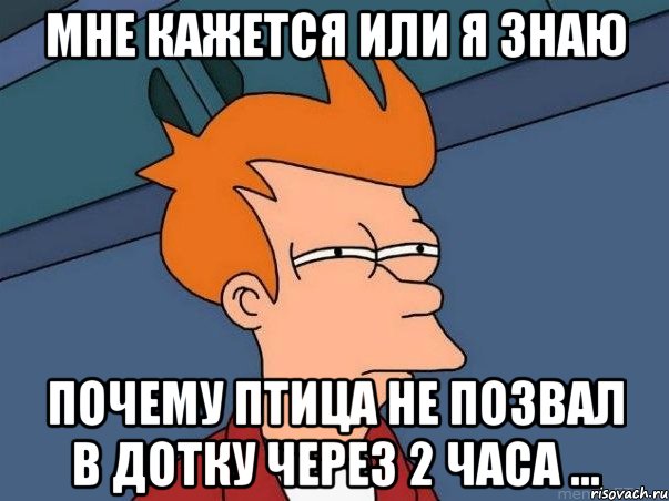 Мне кажется или я знаю почему Птица не позвал в дотку через 2 часа ..., Мем  Фрай (мне кажется или)