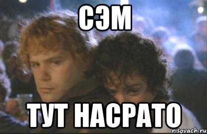 сэм тут насрато, Мем ФРОДО И СЕМ