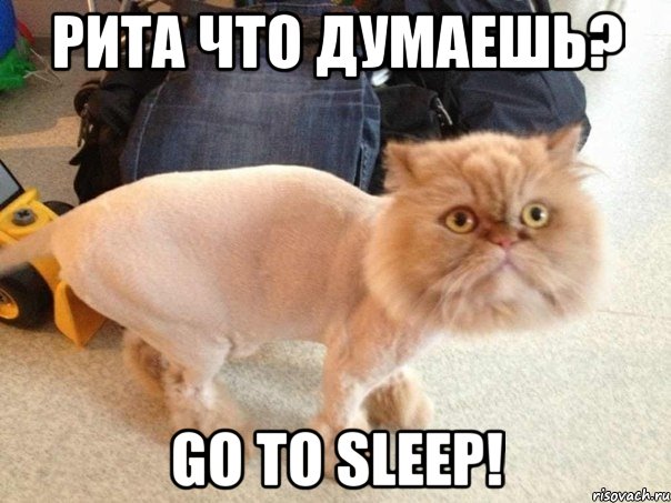 рита что думаешь? GO TO SLEEP!