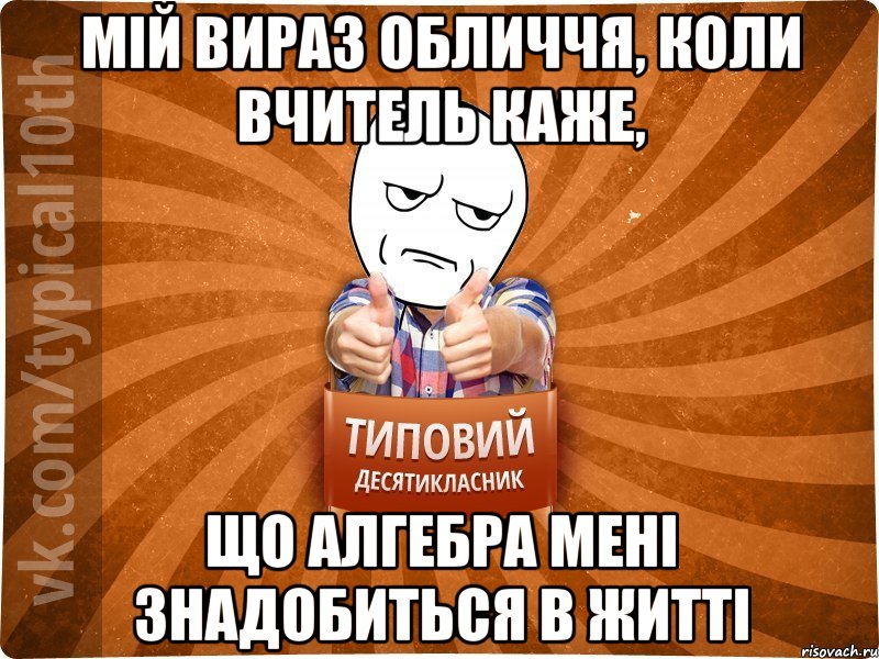 Мій вираз обличчя, коли вчитель каже, що алгебра мені знадобиться в житті