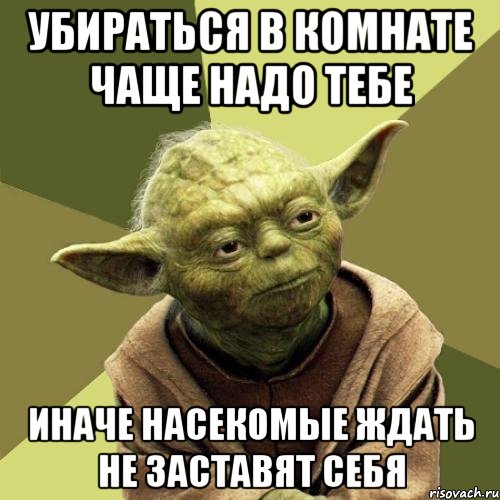убираться в комнате чаще надо тебе Иначе насекомые ждать не заставят себя