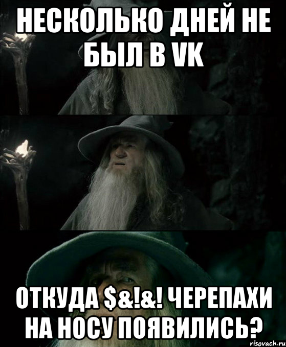 Несколько дней не был в VK Откуда $&!&! черепахи на носу появились?, Комикс Гендальф заблудился