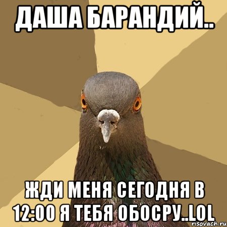 Даша Барандий.. Жди меня сегодня в 12:00 Я тебя обосру..LOL, Мем голубь