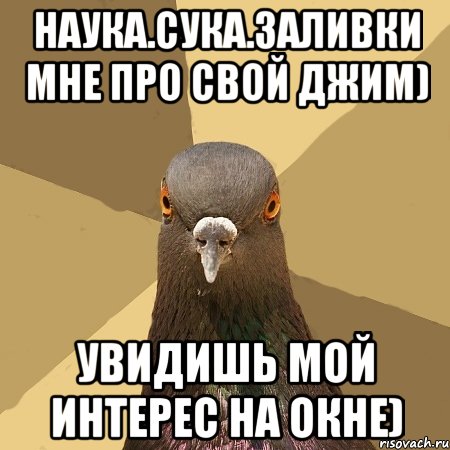 Наука.Сука.заливки мне про свой Джим) Увидишь мой интерес на окне), Мем голубь