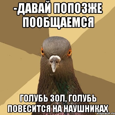 -Давай попозже пообщаемся Голубь зол, голубь повесится на наушниках, Мем голубь