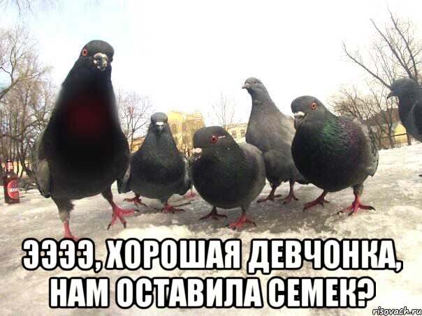  Ээээ, хорошая девчонка, нам оставила семек?