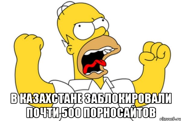  В Казахстане заблокировали почти 500 порносайтов, Мем Разъяренный Гомер