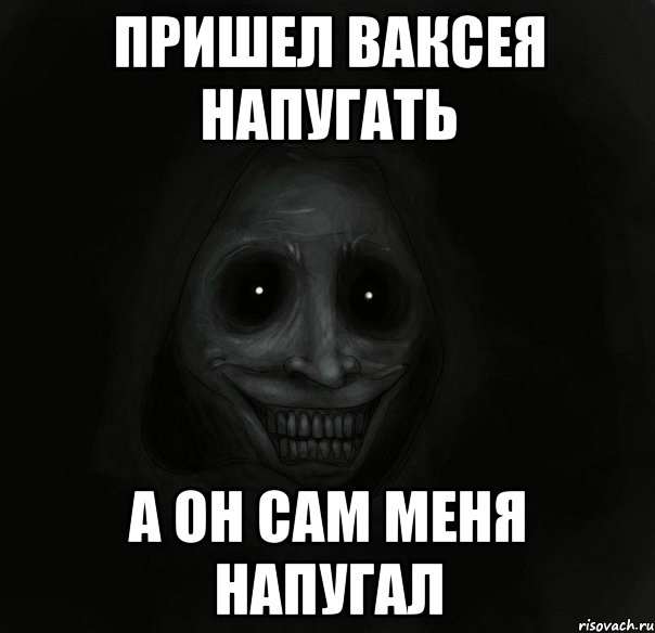 Пришел ваксея напугать а он сам меня напугал, Мем Ночной гость