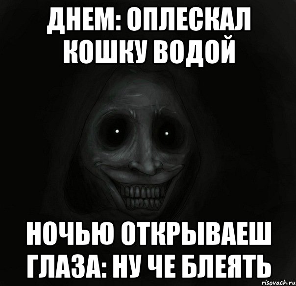 Днем: Оплескал кошку водой Ночью открываеш глаза: ну че блеять, Мем Ночной гость