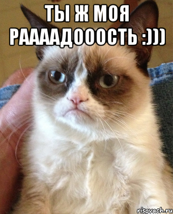 Ты ж моя раааадооость :))) , Мем Grumpy Cat small