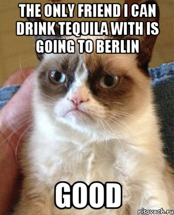 THE ONLY FRIEND I CAN DRINK TEQUILA WITH IS GOING TO BERLIN GOOD, Мем Grumpy Cat small