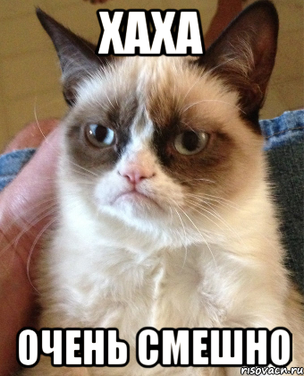 ХАХА ОЧЕНЬ СМЕШНО, Мем Grumpy Cat small