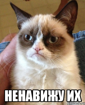  НЕНАВИЖУ ИХ, Мем Grumpy Cat small