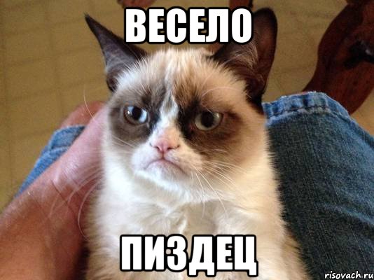 ВЕСЕЛО ПИЗДЕЦ, Мем grumpy