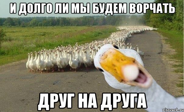 И долго ли мы будем ворчать Друг на Друга, Мем гуси