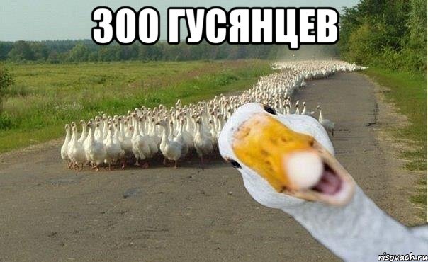 300 гусянцев , Мем гуси