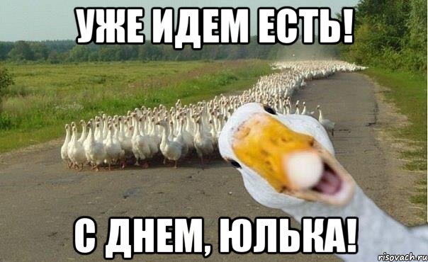 УЖЕ ИДЕМ ЕСТЬ! С ДНЕМ, ЮЛЬКА!, Мем гуси