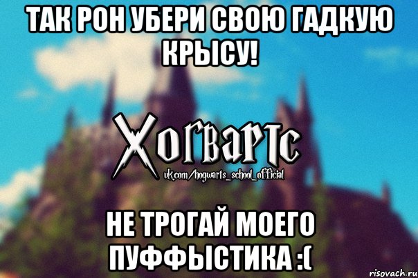 Так Рон убери свою гадкую крысу! Не трогай моего пуффыстика :(, Мем Хогвартс