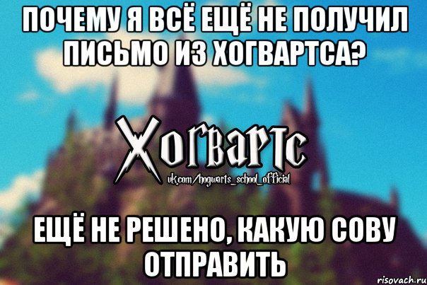 почему я всё ещё не получил письмо из хогвартса? ещё не решено, какую сову отправить, Мем Хогвартс