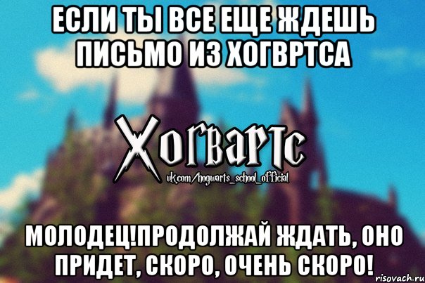 Если ты все еще ждешь письмо из Хогвртса Молодец!Продолжай ждать, оно придет, скоро, очень скоро!, Мем Хогвартс