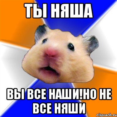 Ты няша Вы все наши!но не все няши, Мем Хомяк