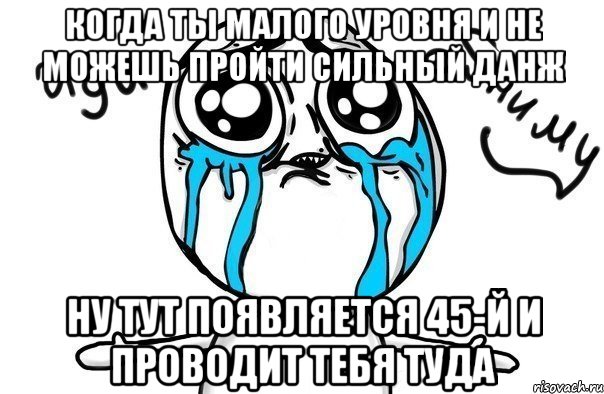 Когда ты малого уровня и не можешь пройти сильный данж Ну тут появляется 45-й и проводит тебя туда, Мем Иди обниму