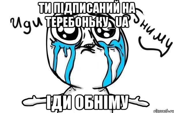 Ти підписаний на ТЕРЕБОНЬКУ_UA Іди обніму, Мем Иди обниму