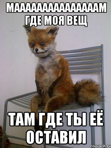 мааааааааааааааам где моя вещ там где ты её оставил, Мем Упоротая лиса