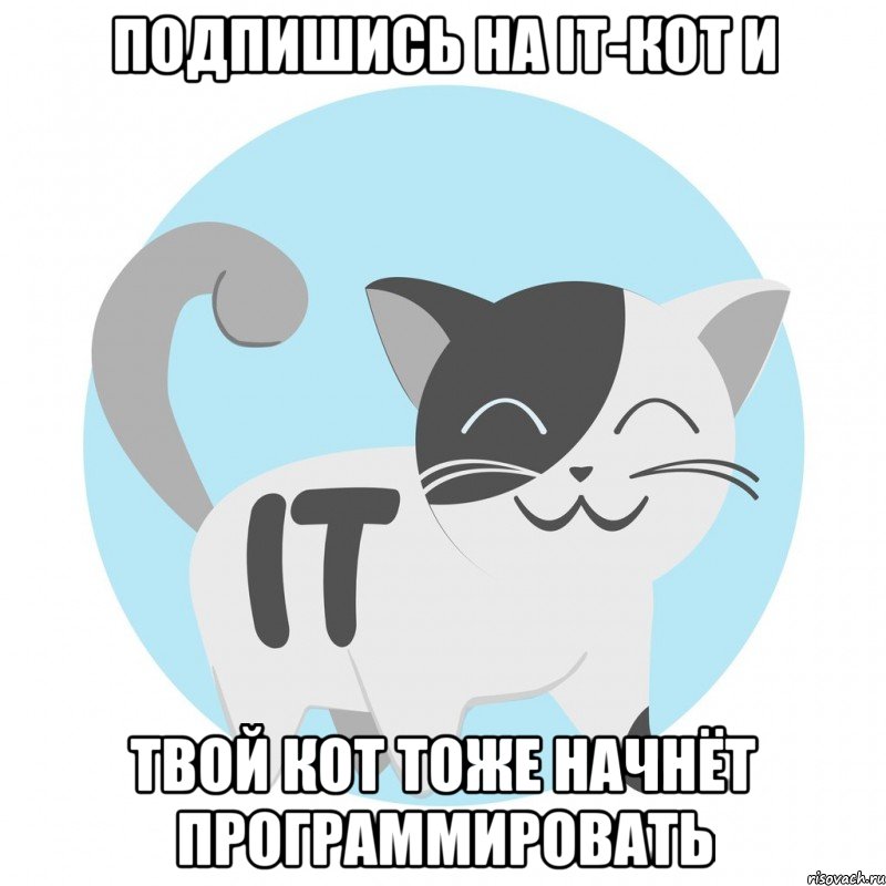 Подпишись на IT-кот и твой кот тоже начнёт программировать