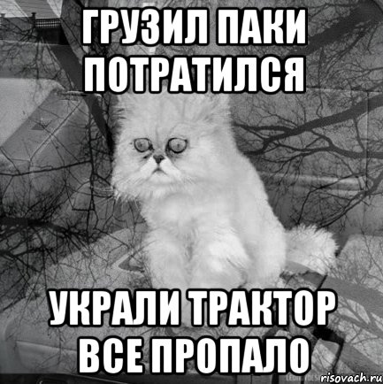 грузил паки потратился украли трактор все пропало, Комикс  кот безысходность