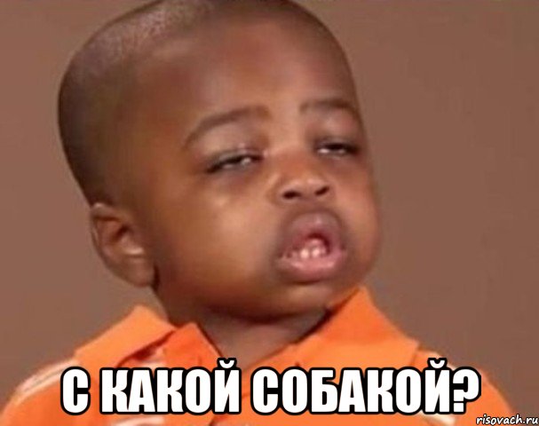  С какой собакой?, Мем  Какой пацан (негритенок)