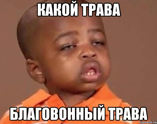 какой трава благовонный трава, Мем  Какой пацан (негритенок)