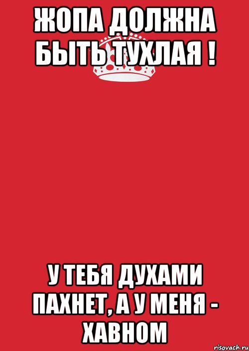 Собака воняет по таким причинам – что с этим делать | РБК Украина