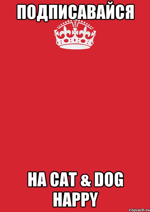 Подписавайся На Cat & Dog Happy, Комикс Keep Calm 3