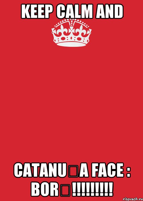 KEEP CALM AND Catanuța face : BORȘ!!!!!!!!!, Комикс Keep Calm 3